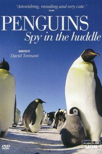 Постер к Пингвин: Шпион под прикрытием (1сезон) / Penguins: Spy In The Huddle